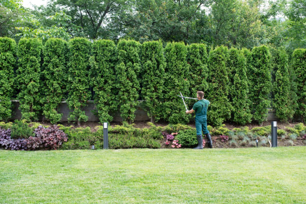 Best Lawn Maintenance Plans  in Girardville, PA